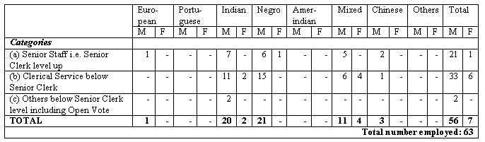 Audit Department  Racial Composition of Staff