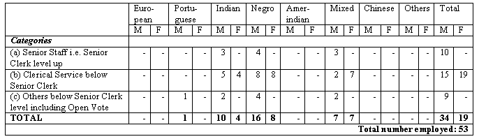 TABLE XIX  Racial Composition of Staff